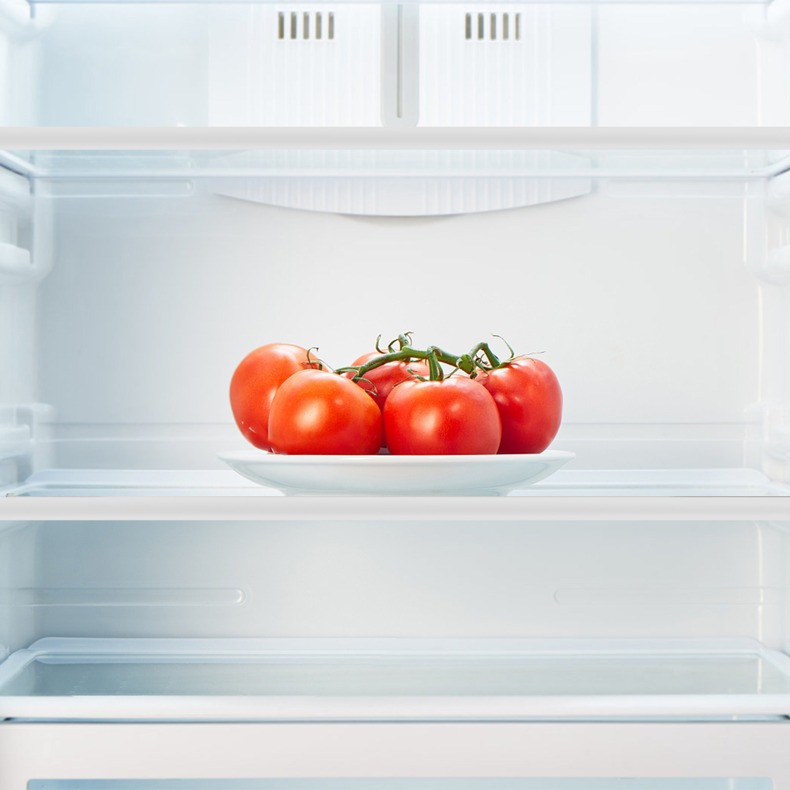 Разделитель для стеклянной пол – обзор и цена Food Storage Glass