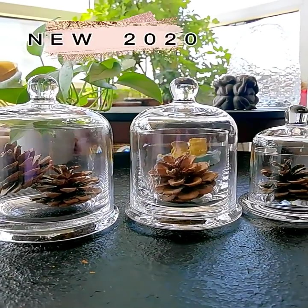 Стеклянная банка для хранения, – обзор и цена Food Storage Of Plants
